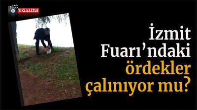 İzmit Fuarı’ndaki ördekler çalınıyor mu?